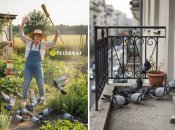 Голуби могут стать настоящей проблемой, поэтому их нужно прогонять