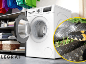 Вужик заліз у пралку