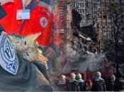 Не все люди смогли пережить удар по Киеву, а этот рыжий кот смог