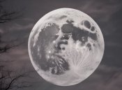 Повний місяць 24 березня (фото згенеровано ШІ)