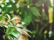 Ілюстрація