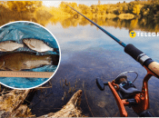 Рибалка в Київській області