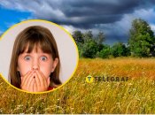 Колаж, "Телеграф"