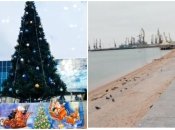 В Бердянске установили ту же елку, что и в прошлом году - с украшениями в цветах украинского флага