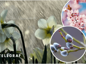 Прогноз погоди в Україні