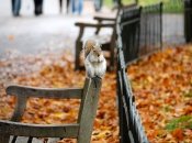 Осінь ще буде теплою