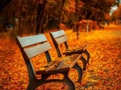 У найближчі сім днів погода в Україні буде різноманітною