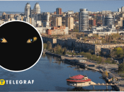 В Днепре заметили лисиц