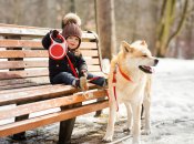 Яких собак не варто заводити сім’ям із дітьми