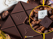 Иллюстративное фото