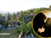 Видео из парка попало в TikTok