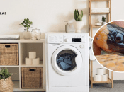 Холоднокровна гостя завітала до харків'ян