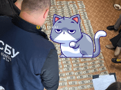 Кошка на деньгах, изъятых СБУ