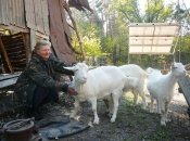 Лариса Ребриста зі своїми годувальницями