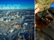 Зюліку всього кілька місяців, а він один із головних друзів українських бійців попід Бахмутом