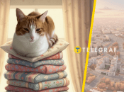 Кот с собственной кроватью из Харькова стал интернет-звездой