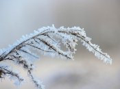 Погода в Украине