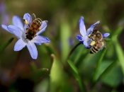 Тепла не буде? Чого українцям чекати від погоди у квітні