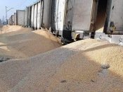 "Все им на шару": в Польше неизвестные вскрыли вагоны с украинской кукурузой и высыпали ее на землю (видео)