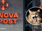 Новый кот на "Новой почте"