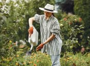 Удобрювати рослинність можна без хімікатів