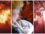 После взрыва в "Котобазе" случился пожар