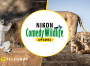 Иллюстративное фото