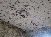 Цвіль у російській лікарні