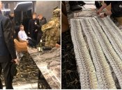 В Украине депутата подозревают в мошенничестве