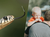 Простые правила родителям, чтобы обезопасить своего ребенка от змей