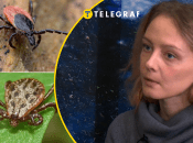 Акарологиня Олександра Шевченко