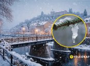 Ужгород, сніг