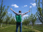 Обязательная весенняя процедура