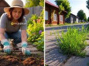 Навести лад на доріжках у дворі дачі допоможе простий засіб