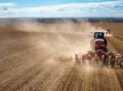 На Кировоградщине перевыполнили план по засеванию ранних зерновых – глава ОВА
