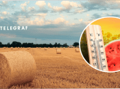 Погода в Україні