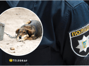 Підлітки забили собаку до смерті