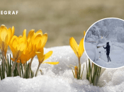 Цветы и снегопад