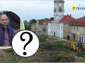 Во Львове вырубили деревья и хотят высадить новые