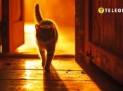 Не прогоните удачу (фото создано с помощью ИИ)