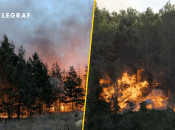 Знищено понад три сотні будинків: на Харківщині півсела згоріло під час масштабної пожежі (фото, відео)