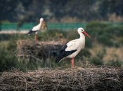 Церковне свято 7 серпня — що забороняється робити цього дня