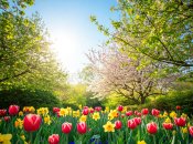 В Украину придет потепление