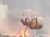 "Бавовна" в Крыму раздавалась вечером 10 декабря