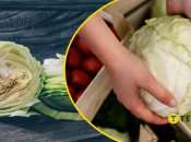 Капуста идет во многие украинские блюда