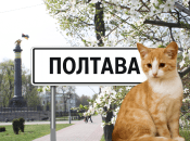 Погода в Полтаві