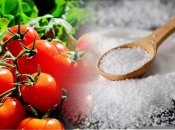 Чем опрыскать помидоры в августе