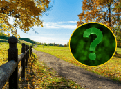 Осіння дорога