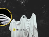 Зовнішність метелика дуже химерна