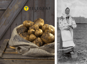 Как картофель стал "вторым хлебом"